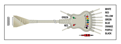 (image for) Marquette/GE PATIENT CABLE-10 LEAD FIXED BANANA