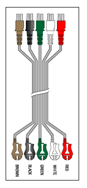 (image for) AAEMM 5 LEADWIRE SET DISPOSABLE 30" DUAL/PINCH