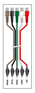 (image for) AAEMM 5 LEADWIRE SET - 30" DUAL/ALLIGATOR